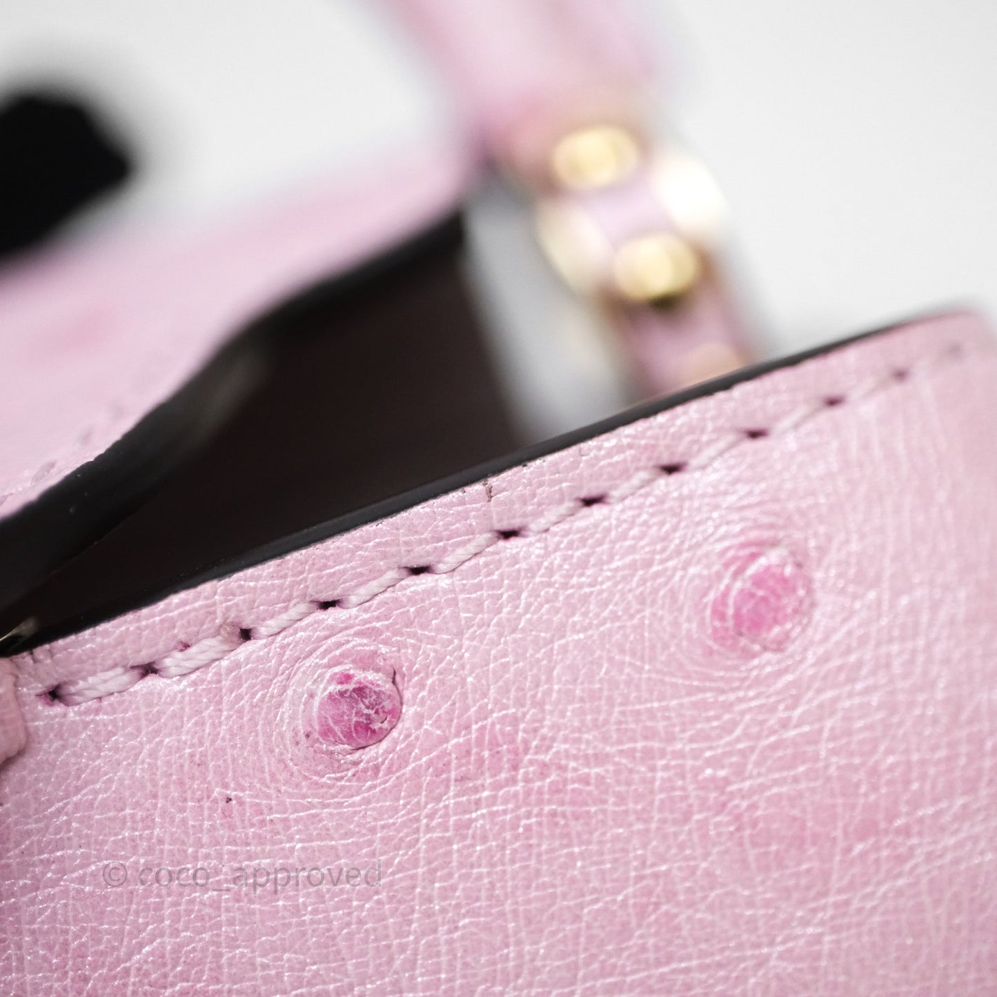 Louis Vuitton Taurillon Capucines Nano Pink in Ostrich
