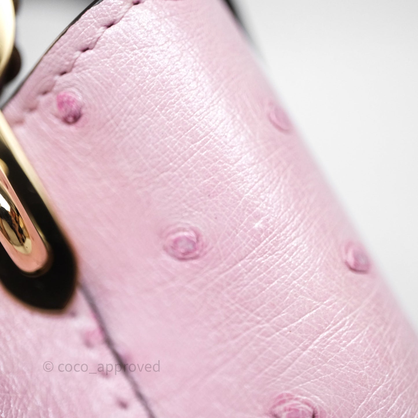 Louis Vuitton Taurillon Capucines Nano Pink in Ostrich