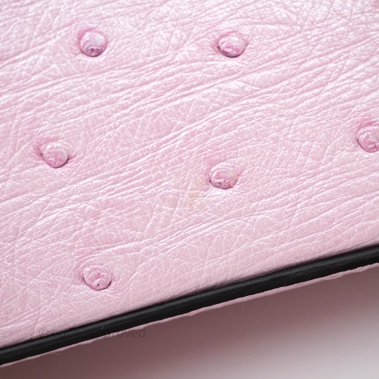 Louis Vuitton Taurillon Capucines Nano Pink in Ostrich