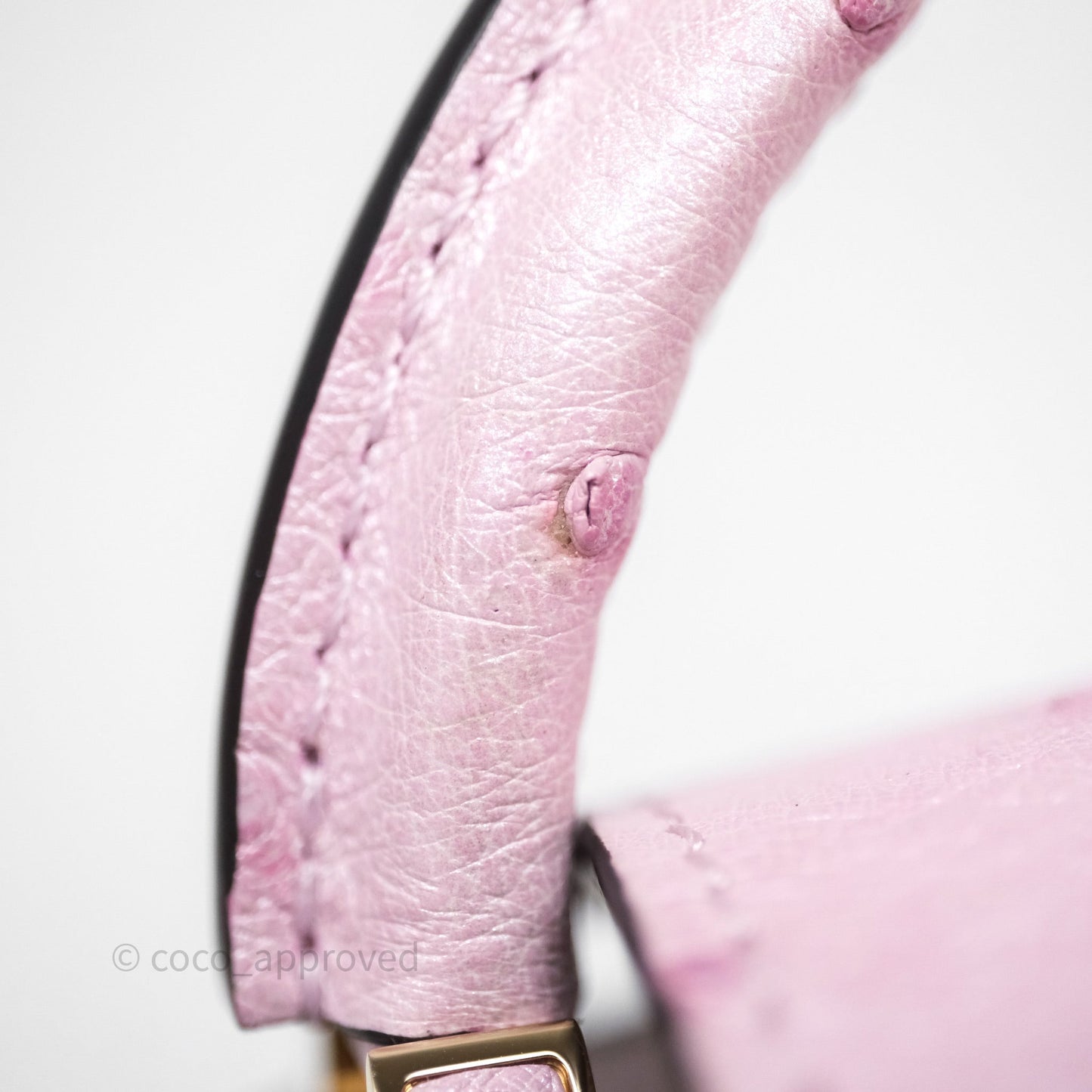 Louis Vuitton Taurillon Capucines Nano Pink in Ostrich