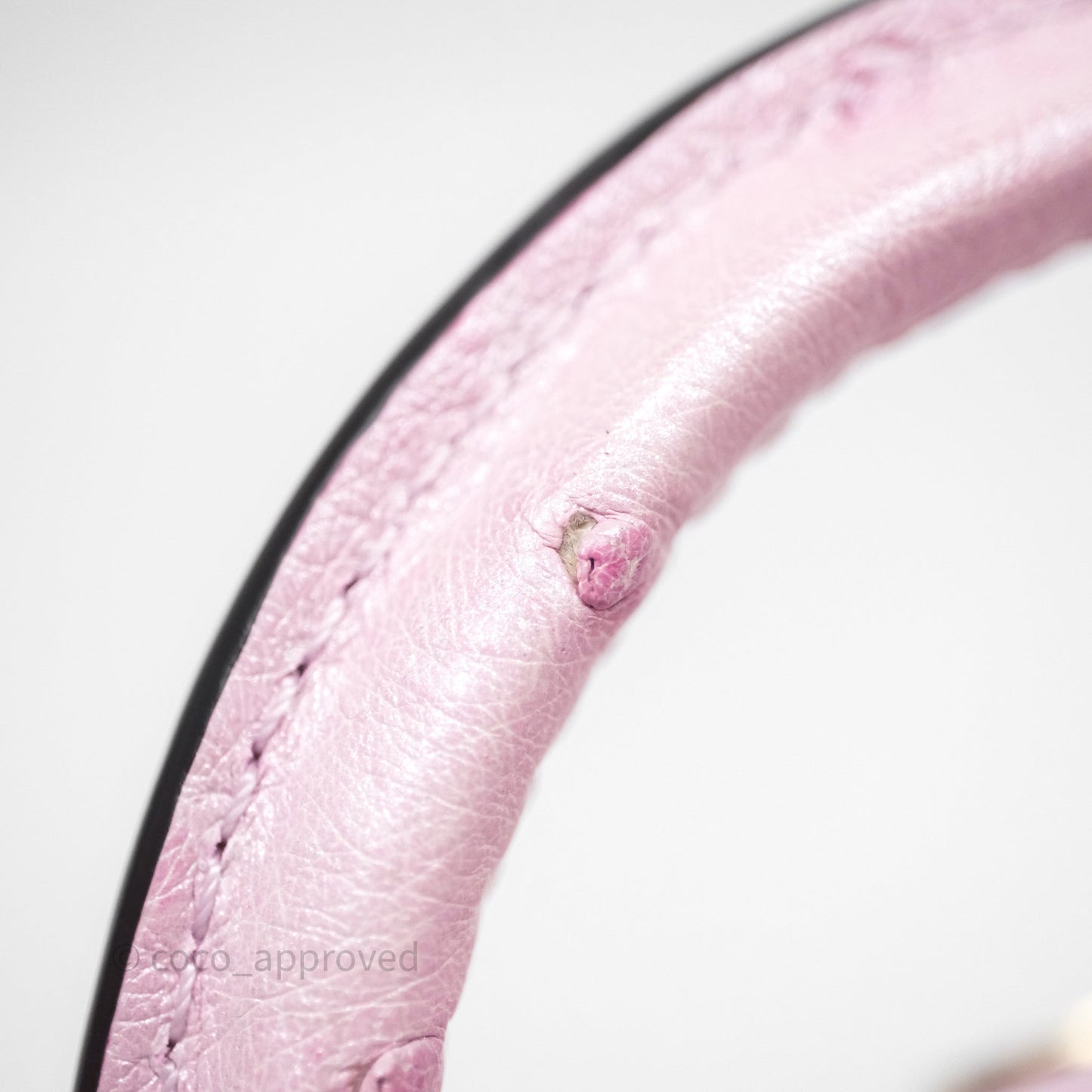 Louis Vuitton Taurillon Capucines Nano Pink in Ostrich