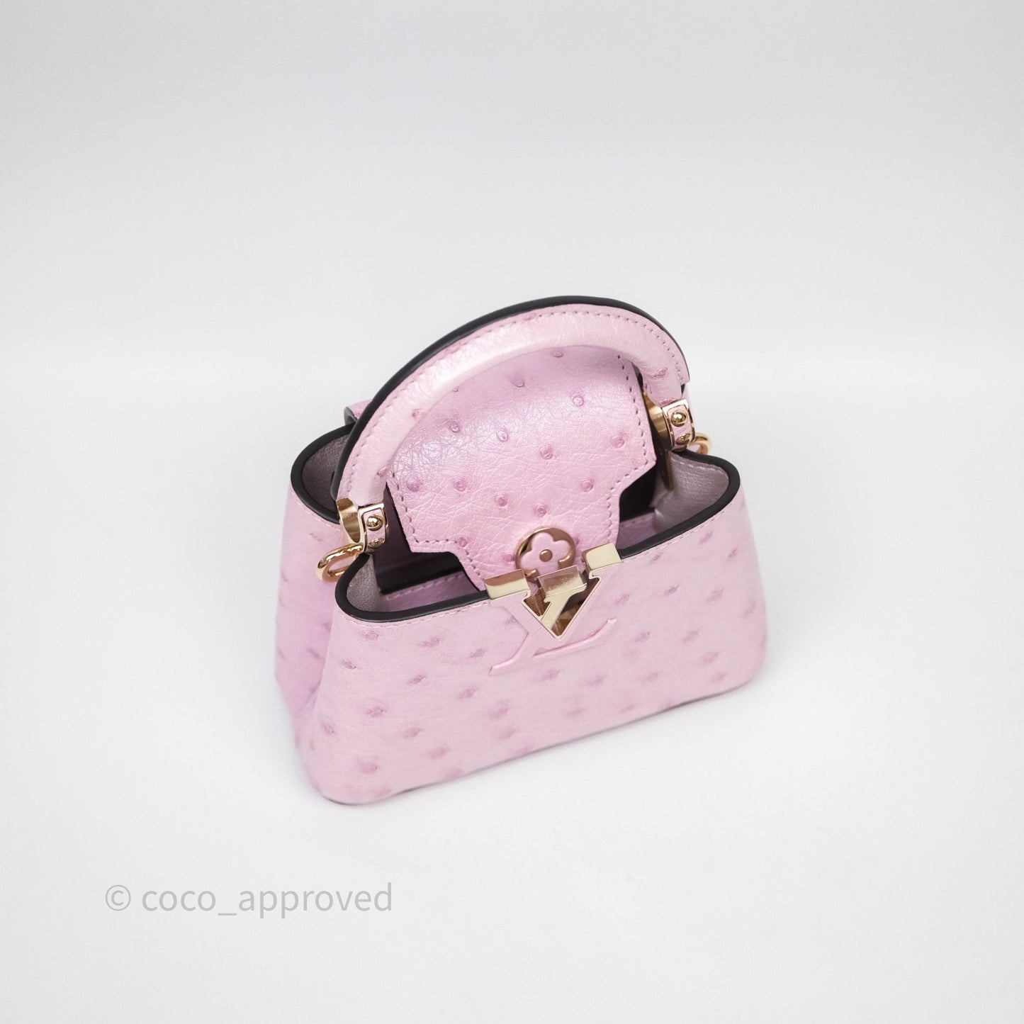 Louis Vuitton Taurillon Capucines Nano Pink in Ostrich