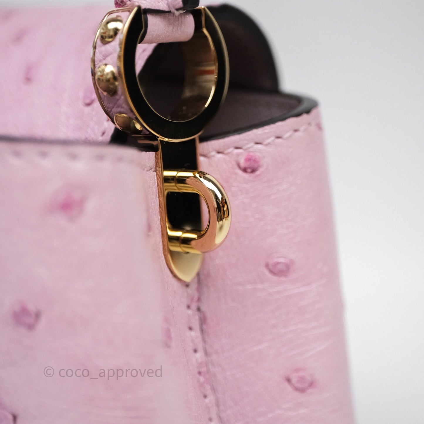 Louis Vuitton Taurillon Capucines Nano Pink in Ostrich