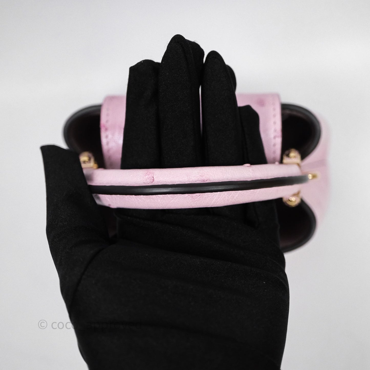 Louis Vuitton Taurillon Capucines Nano Pink in Ostrich