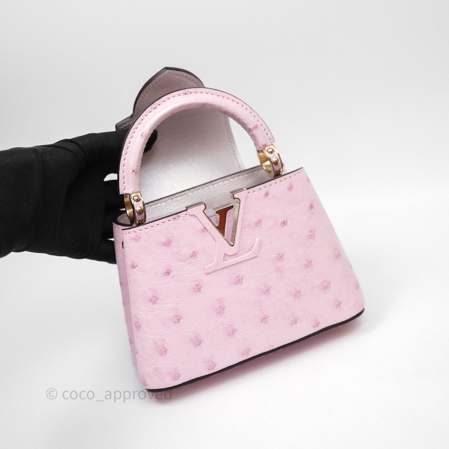 Louis Vuitton Taurillon Capucines Nano Pink in Ostrich