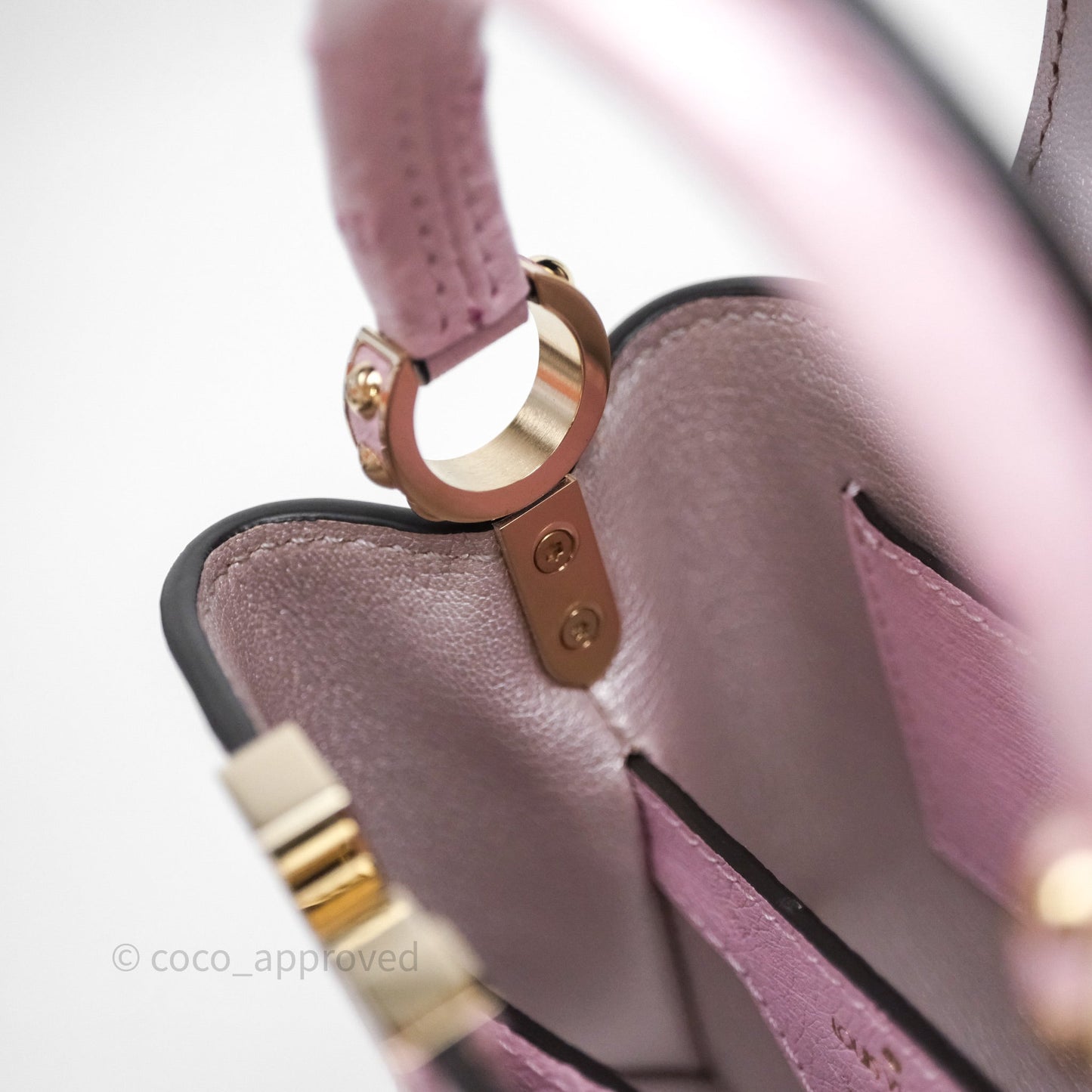 Louis Vuitton Taurillon Capucines Nano Pink in Ostrich