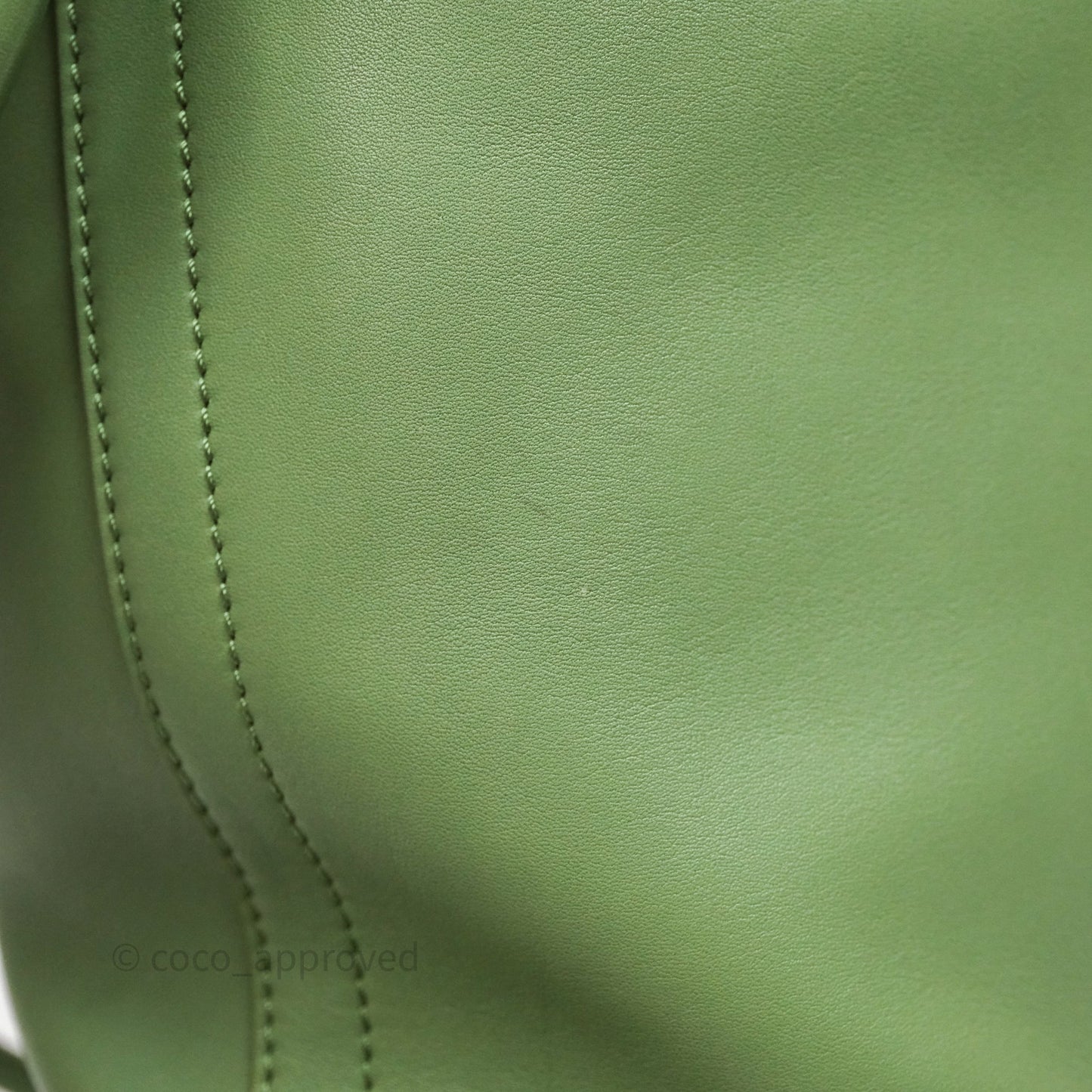 Loewe Sailor Backpack Green Gold Hardware