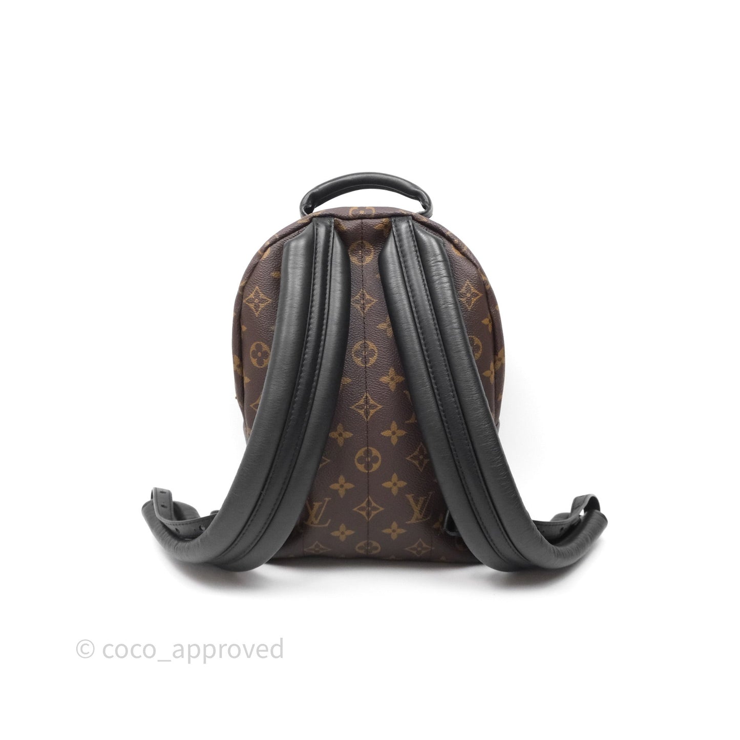 Louis Vuitton Palm Springs Backpack⁣ Monogram PM