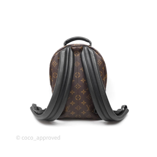 Louis Vuitton Palm Springs Backpack⁣ Monogram PM