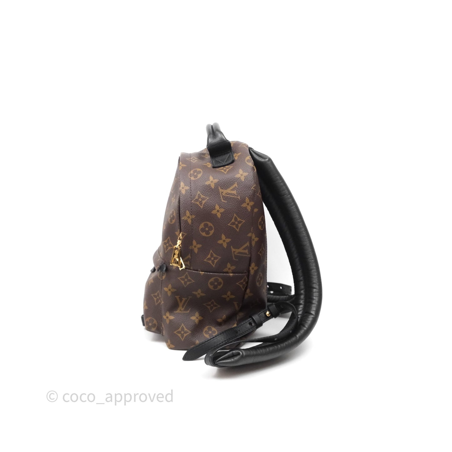 Louis Vuitton Palm Springs Backpack⁣ Monogram PM