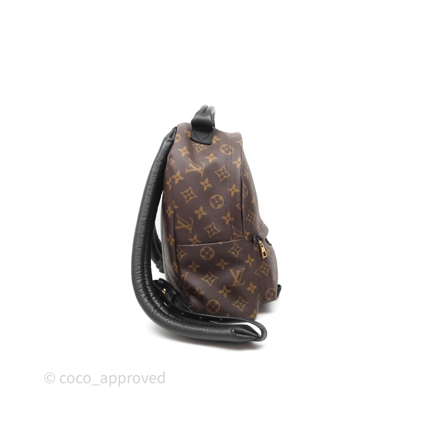 Louis Vuitton Palm Springs Backpack⁣ Monogram PM