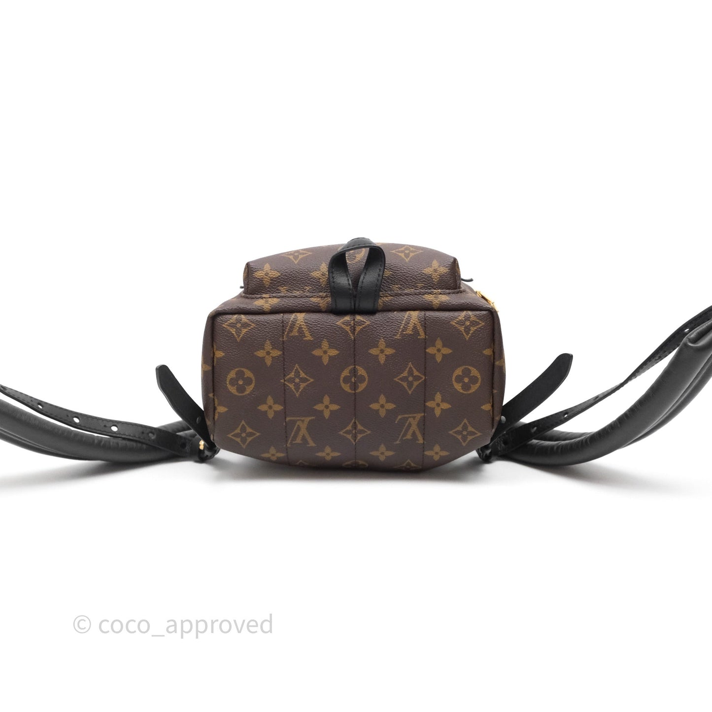 Louis Vuitton Palm Springs Backpack⁣ Monogram PM