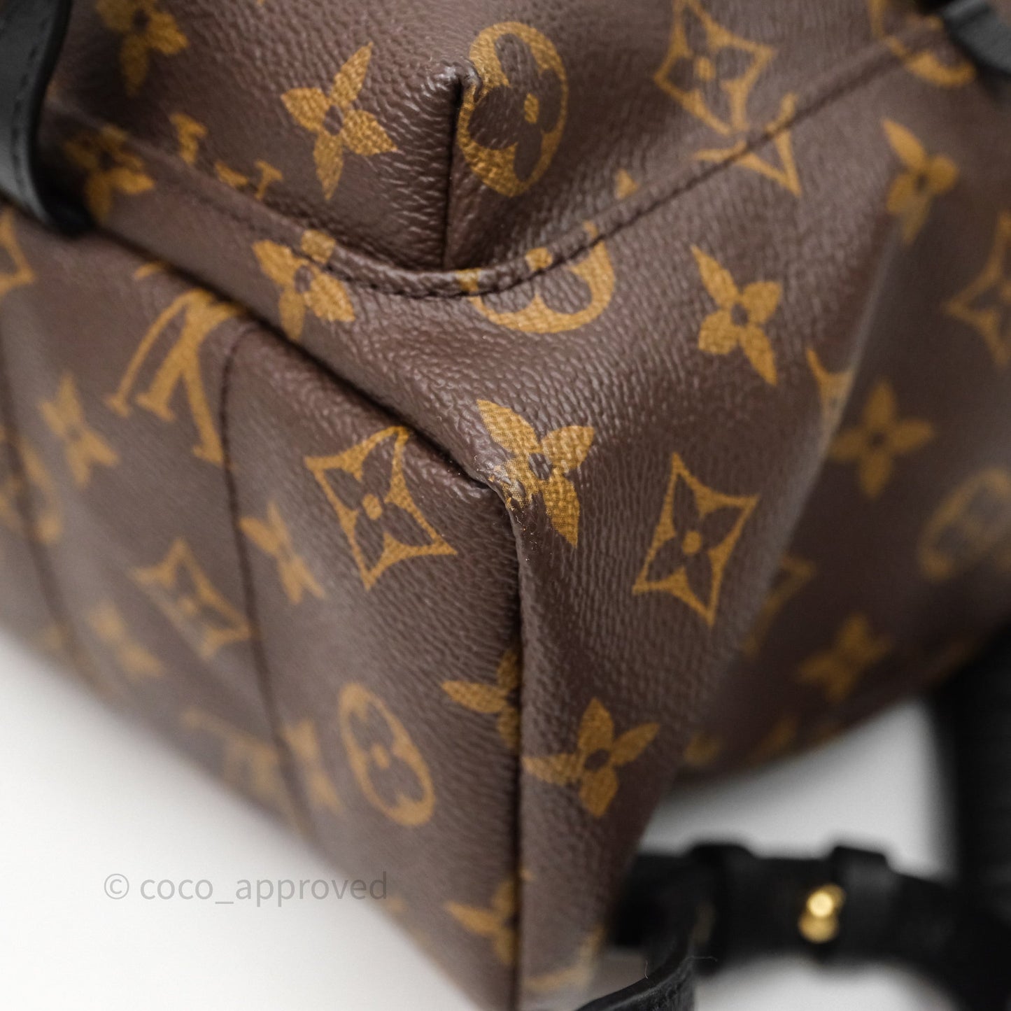 Louis Vuitton Palm Springs Backpack⁣ Monogram PM