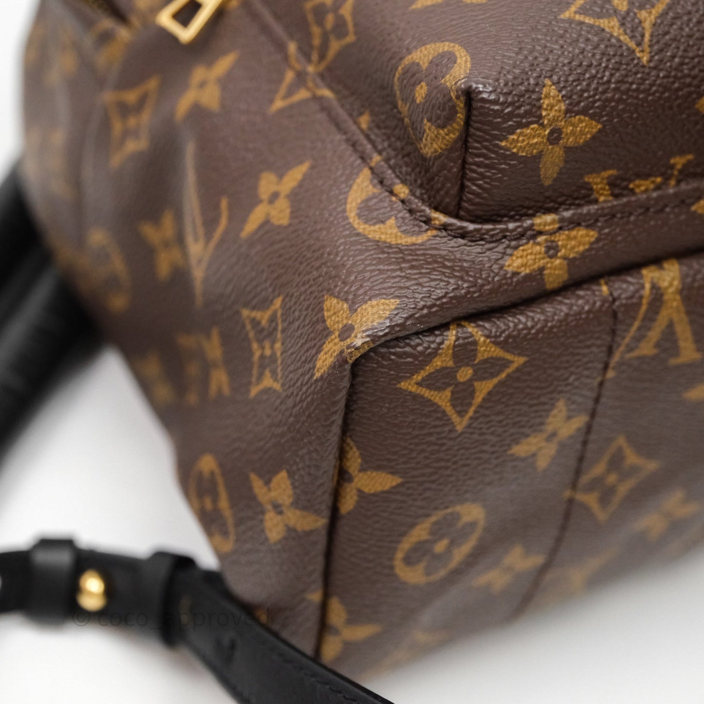 Louis Vuitton Palm Springs Backpack⁣ Monogram PM