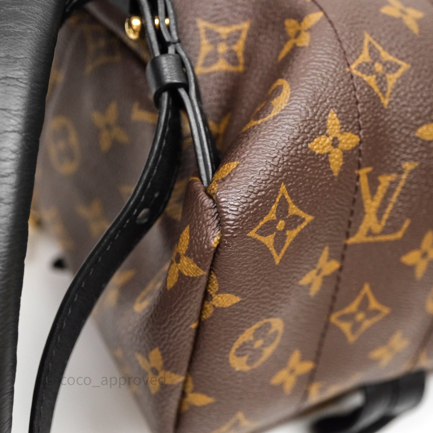 Louis Vuitton Palm Springs Backpack⁣ Monogram PM