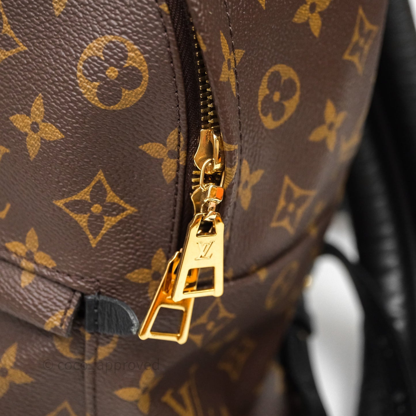 Louis Vuitton Palm Springs Backpack⁣ Monogram PM