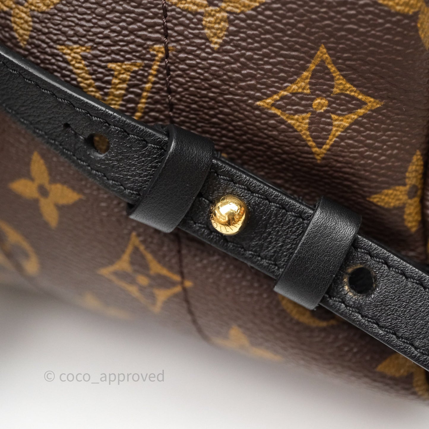 Louis Vuitton Palm Springs Backpack⁣ Monogram PM