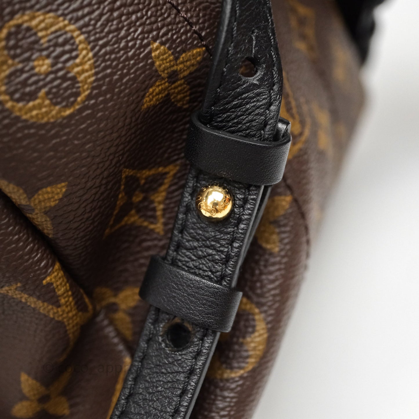 Louis Vuitton Palm Springs Backpack⁣ Monogram PM