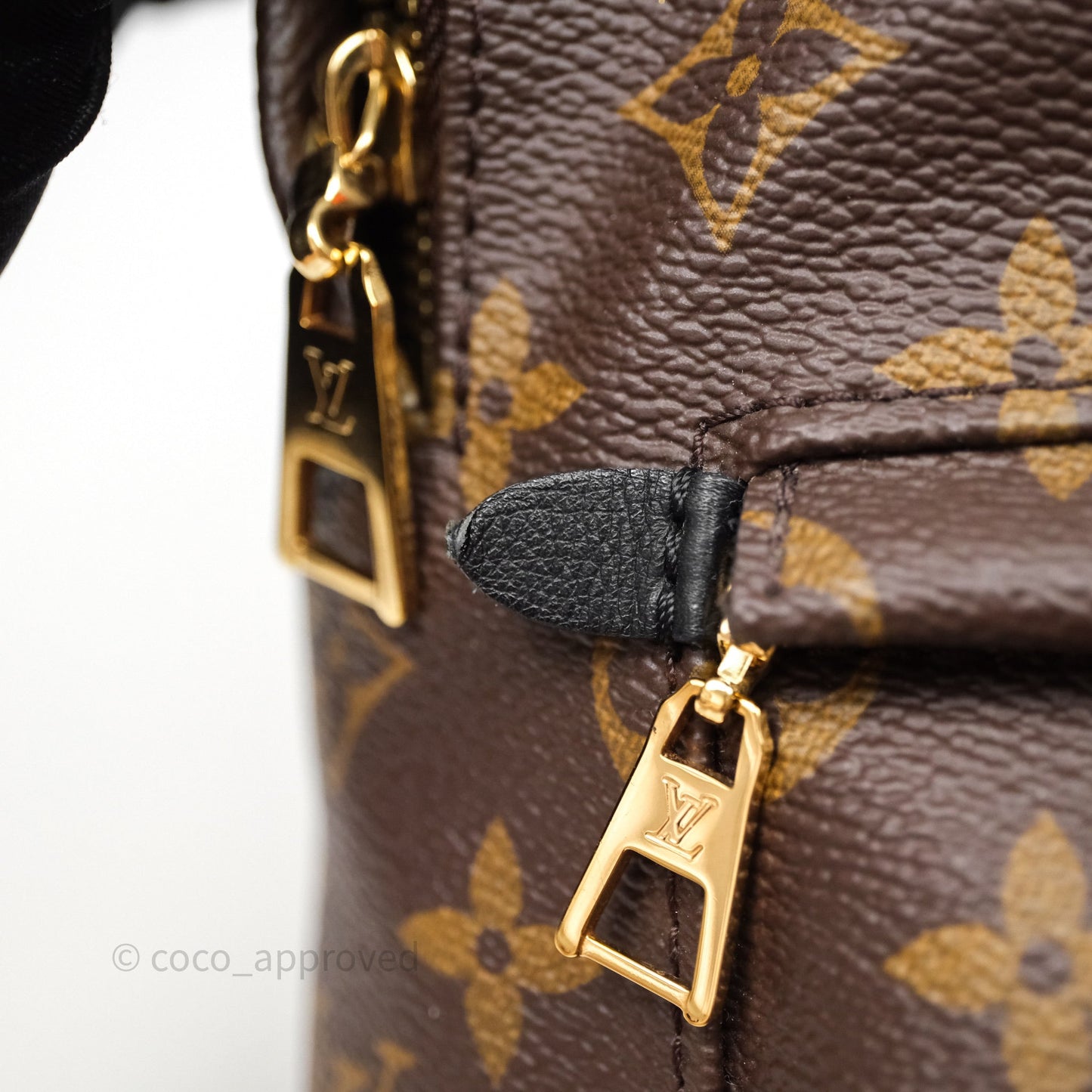 Louis Vuitton Palm Springs Backpack⁣ Monogram PM