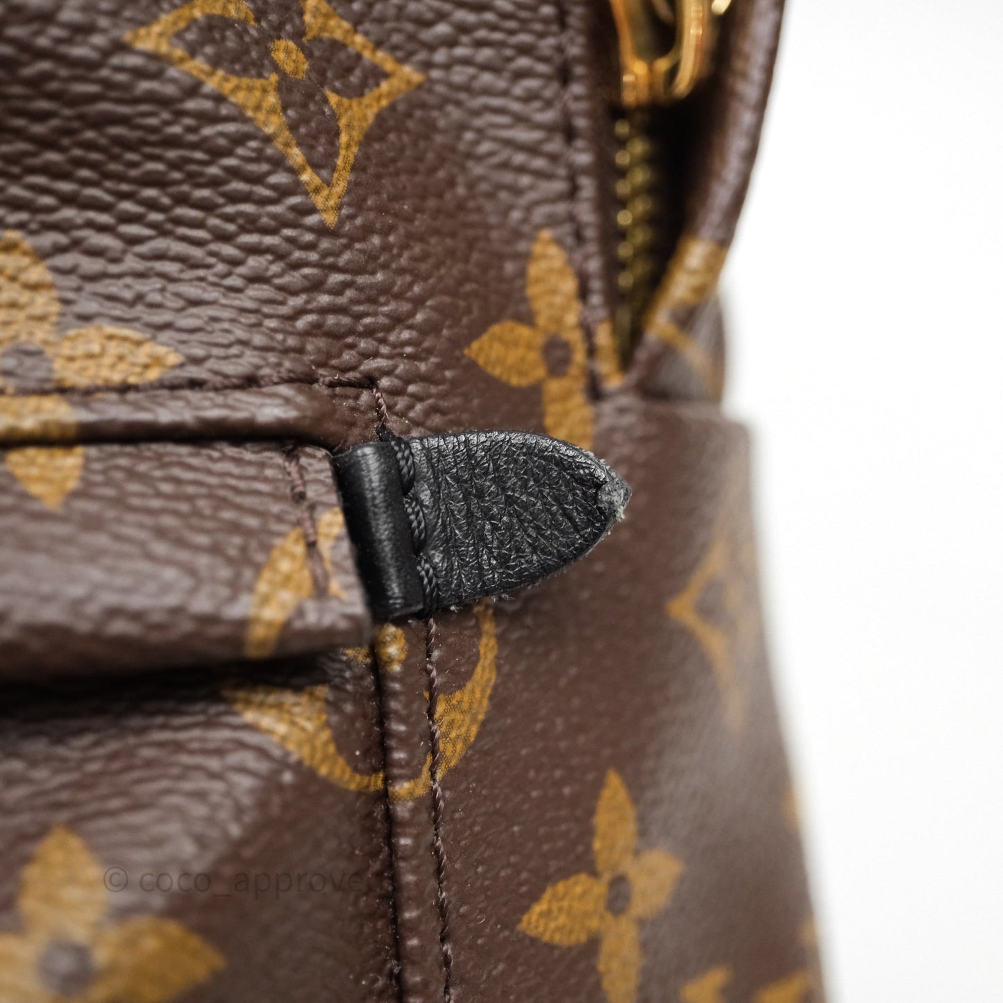 Louis Vuitton Palm Springs Backpack⁣ Monogram PM