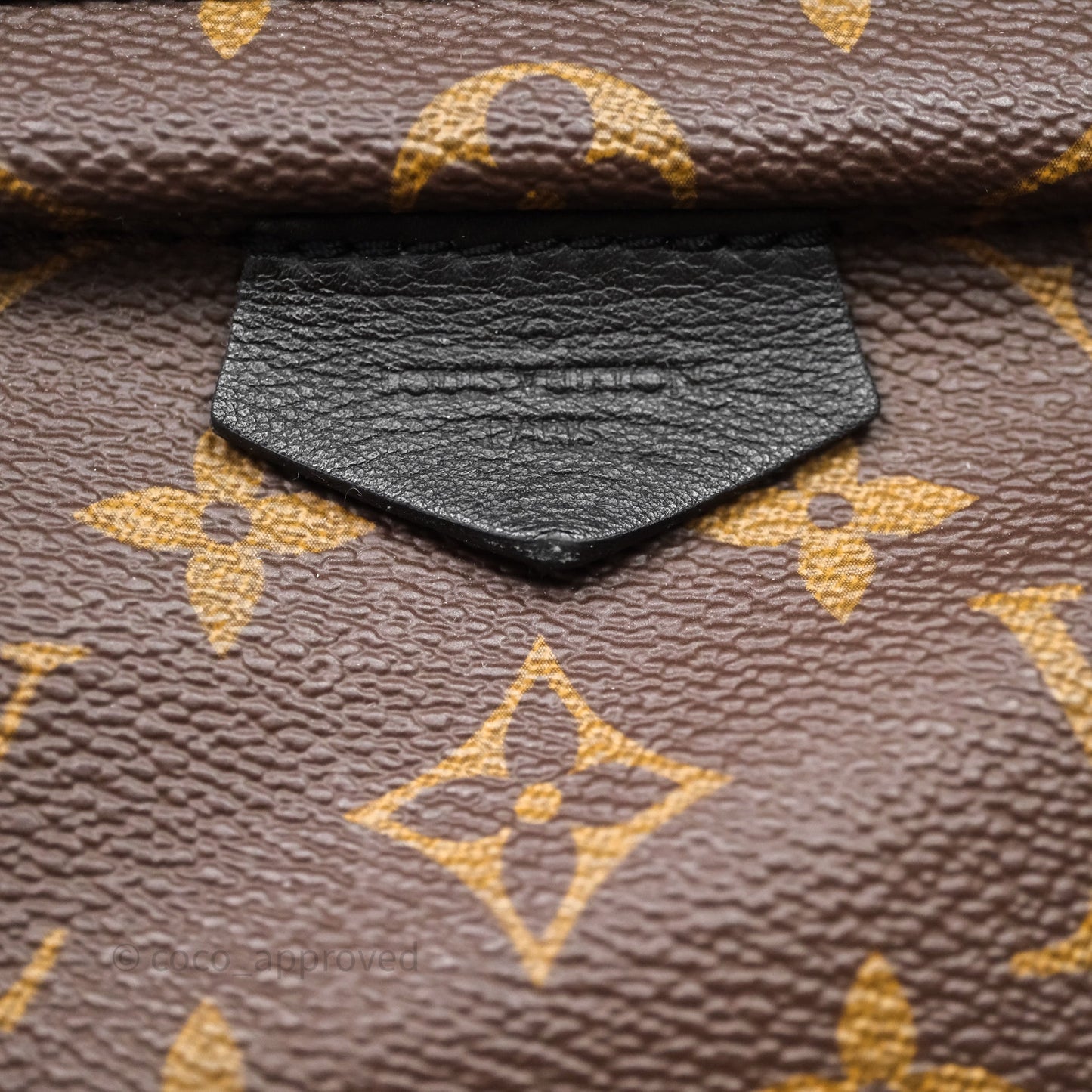 Louis Vuitton Palm Springs Backpack⁣ Monogram PM