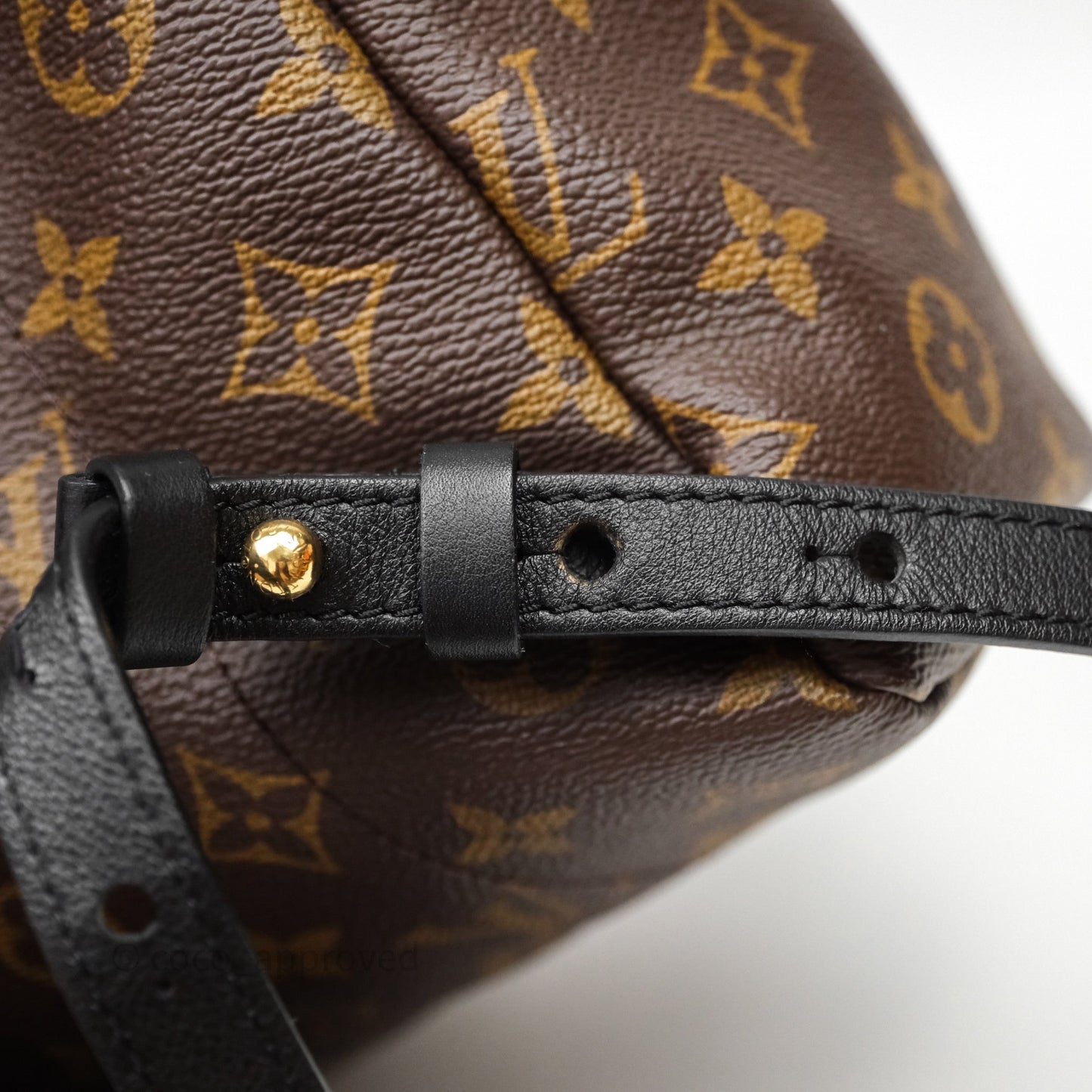Louis Vuitton Palm Springs Backpack⁣ Monogram PM
