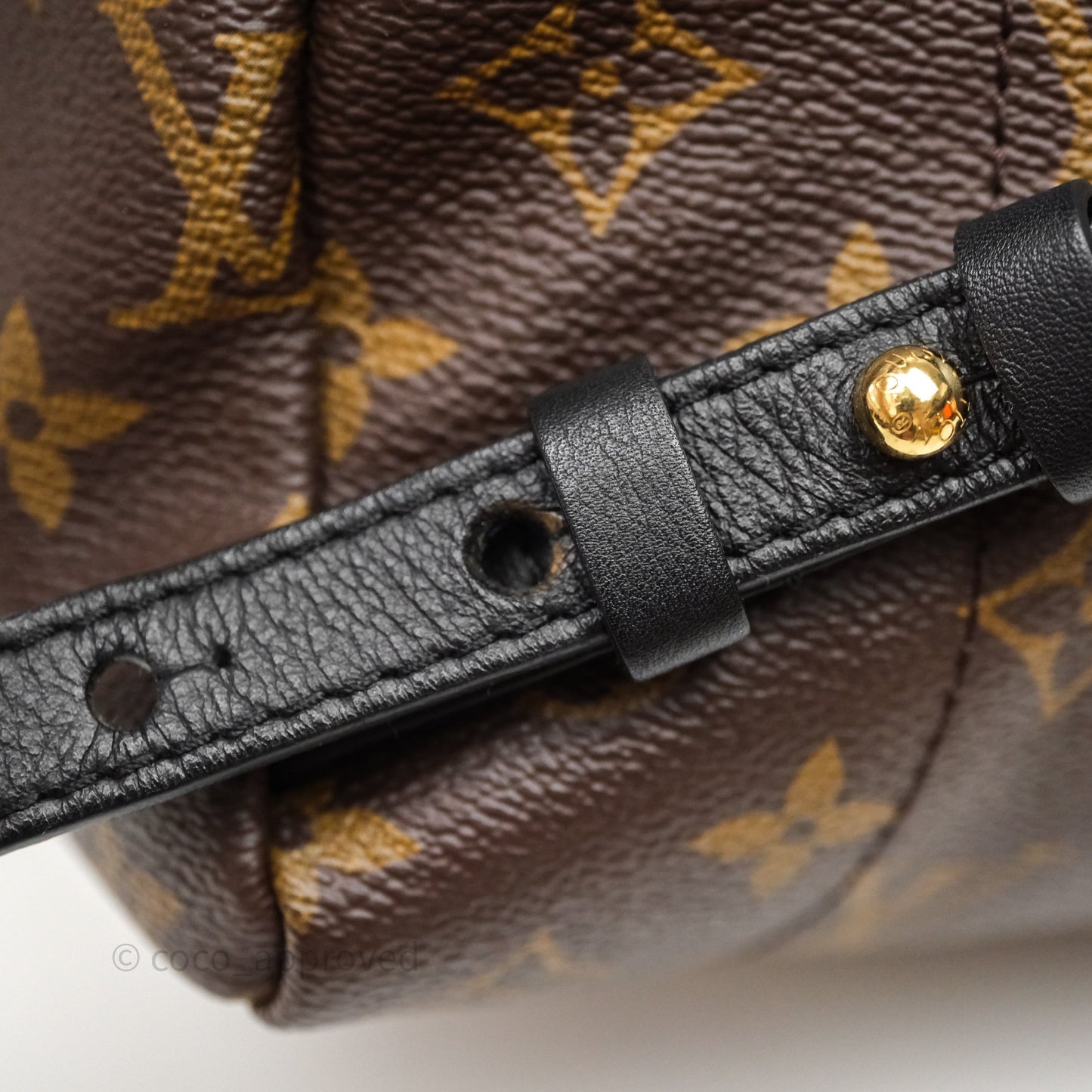 Louis Vuitton Palm Springs Backpack⁣ Monogram PM