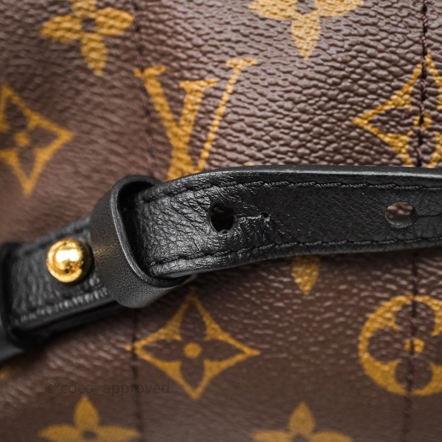 Louis Vuitton Palm Springs Backpack⁣ Monogram PM