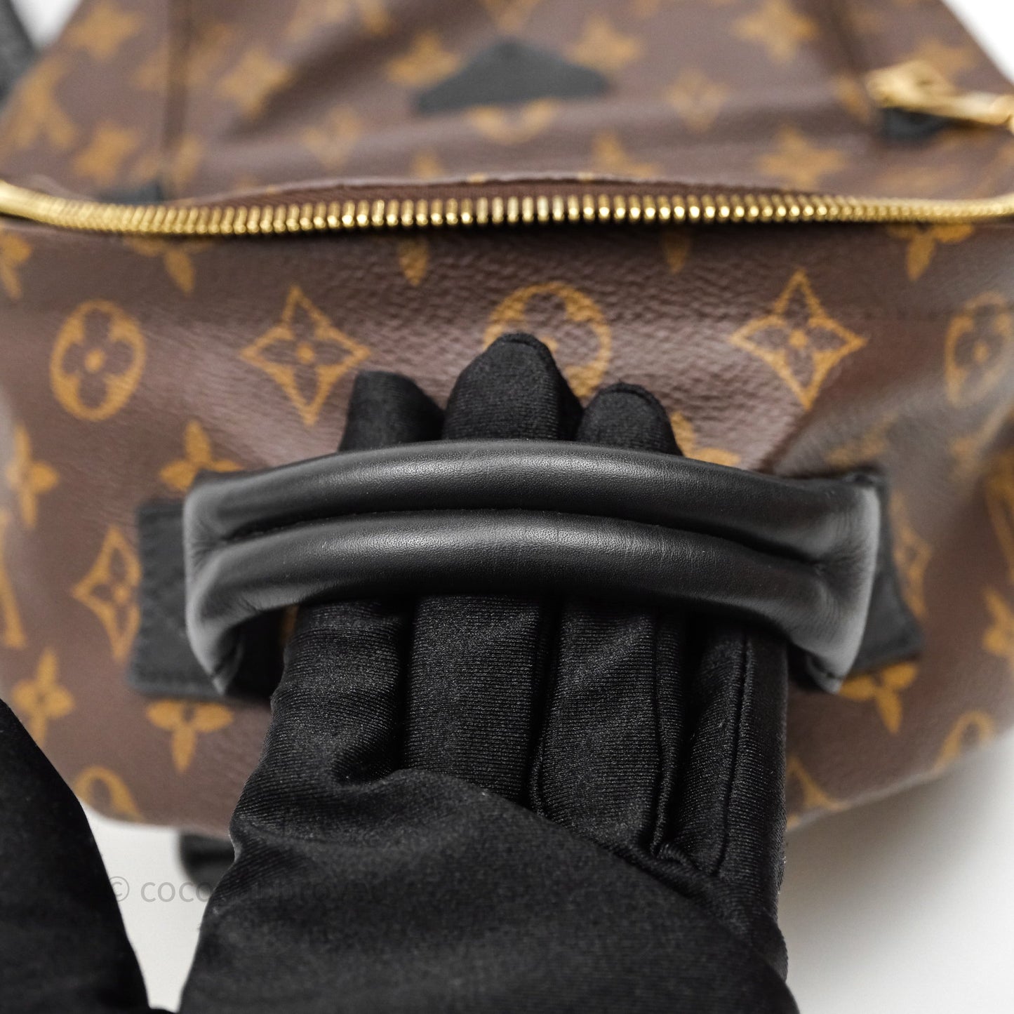 Louis Vuitton Palm Springs Backpack⁣ Monogram PM