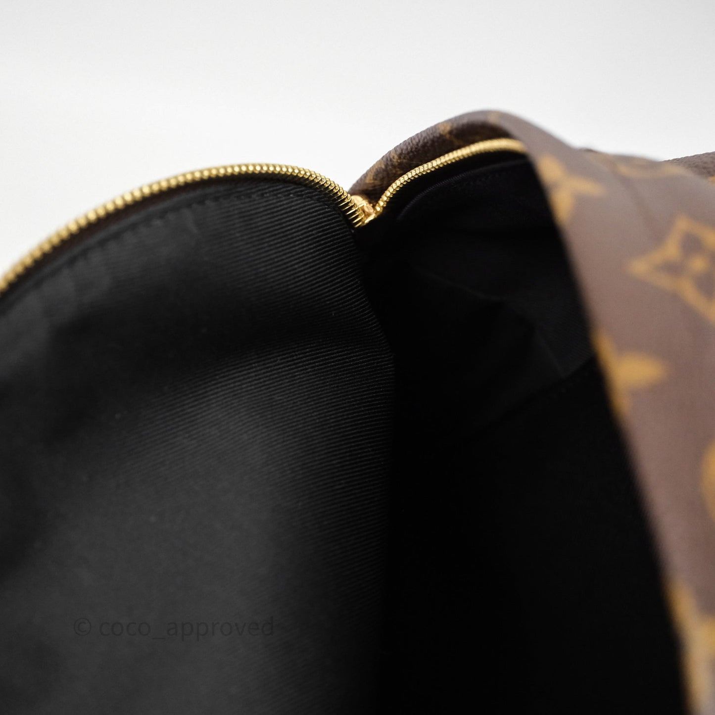 Louis Vuitton Palm Springs Backpack⁣ Monogram PM