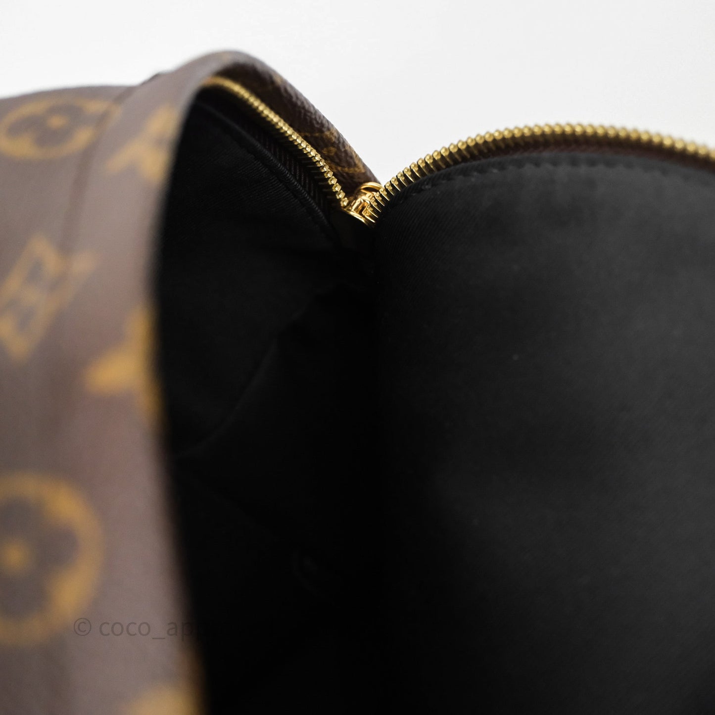 Louis Vuitton Palm Springs Backpack⁣ Monogram PM
