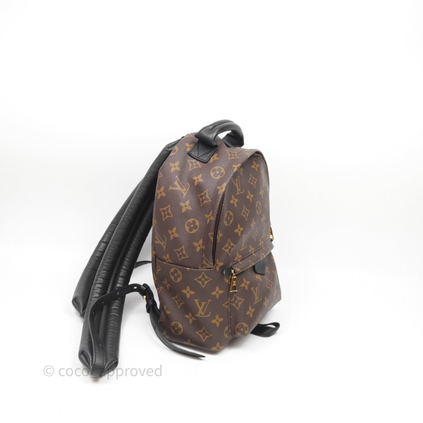 Louis Vuitton Palm Springs Backpack⁣ Monogram PM