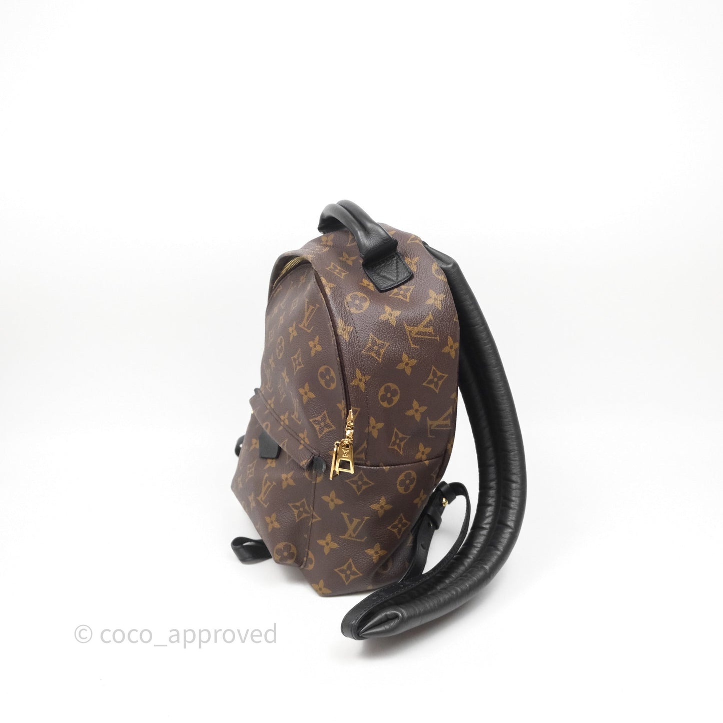 Louis Vuitton Palm Springs Backpack⁣ Monogram PM