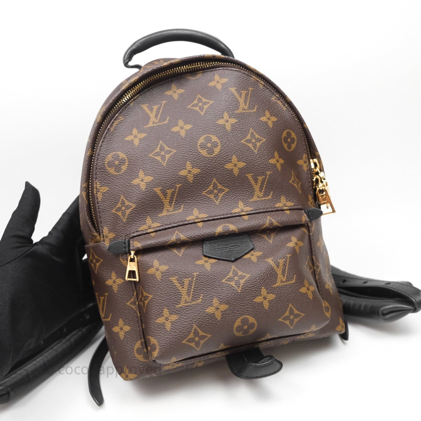Louis Vuitton Palm Springs Backpack⁣ Monogram PM