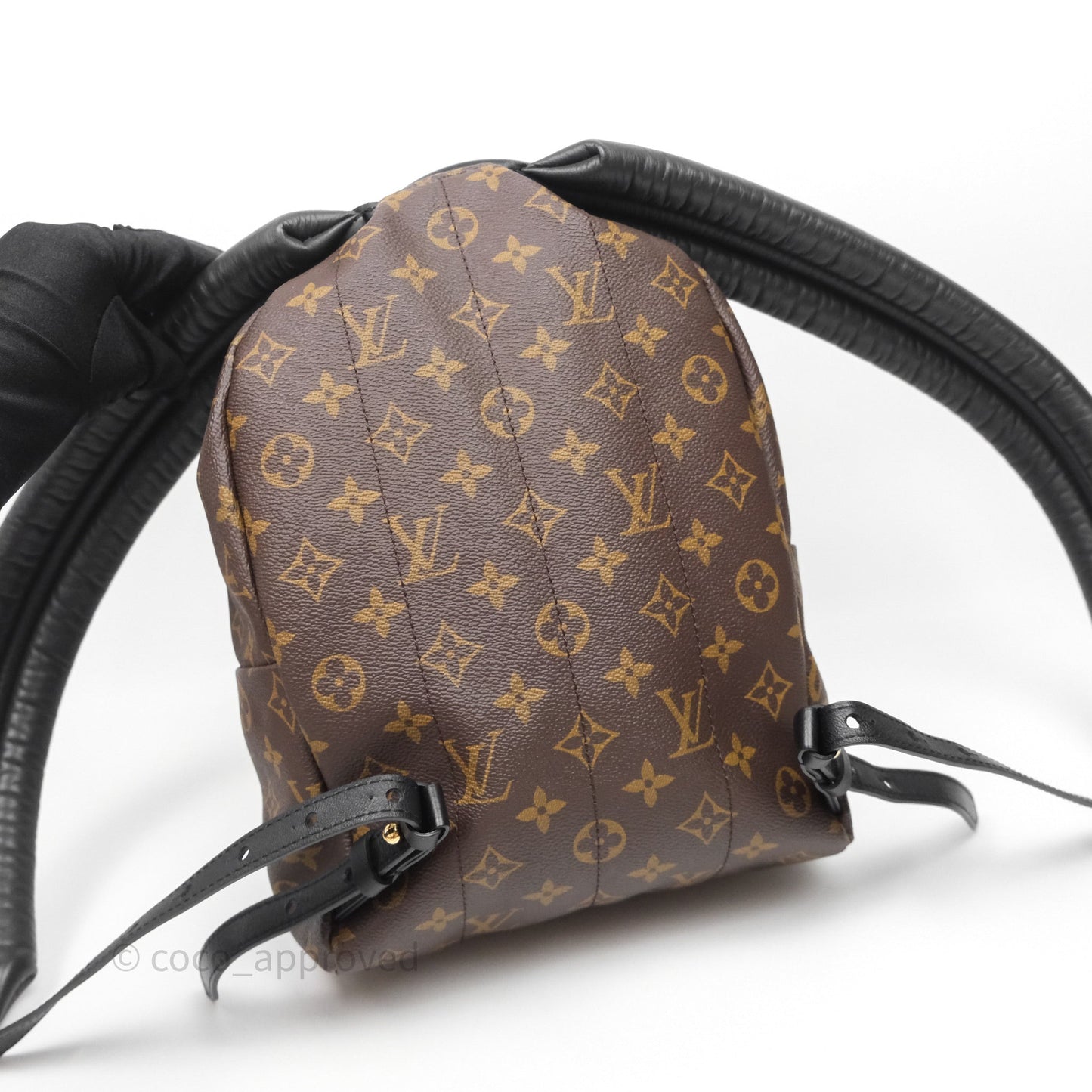 Louis Vuitton Palm Springs Backpack⁣ Monogram PM