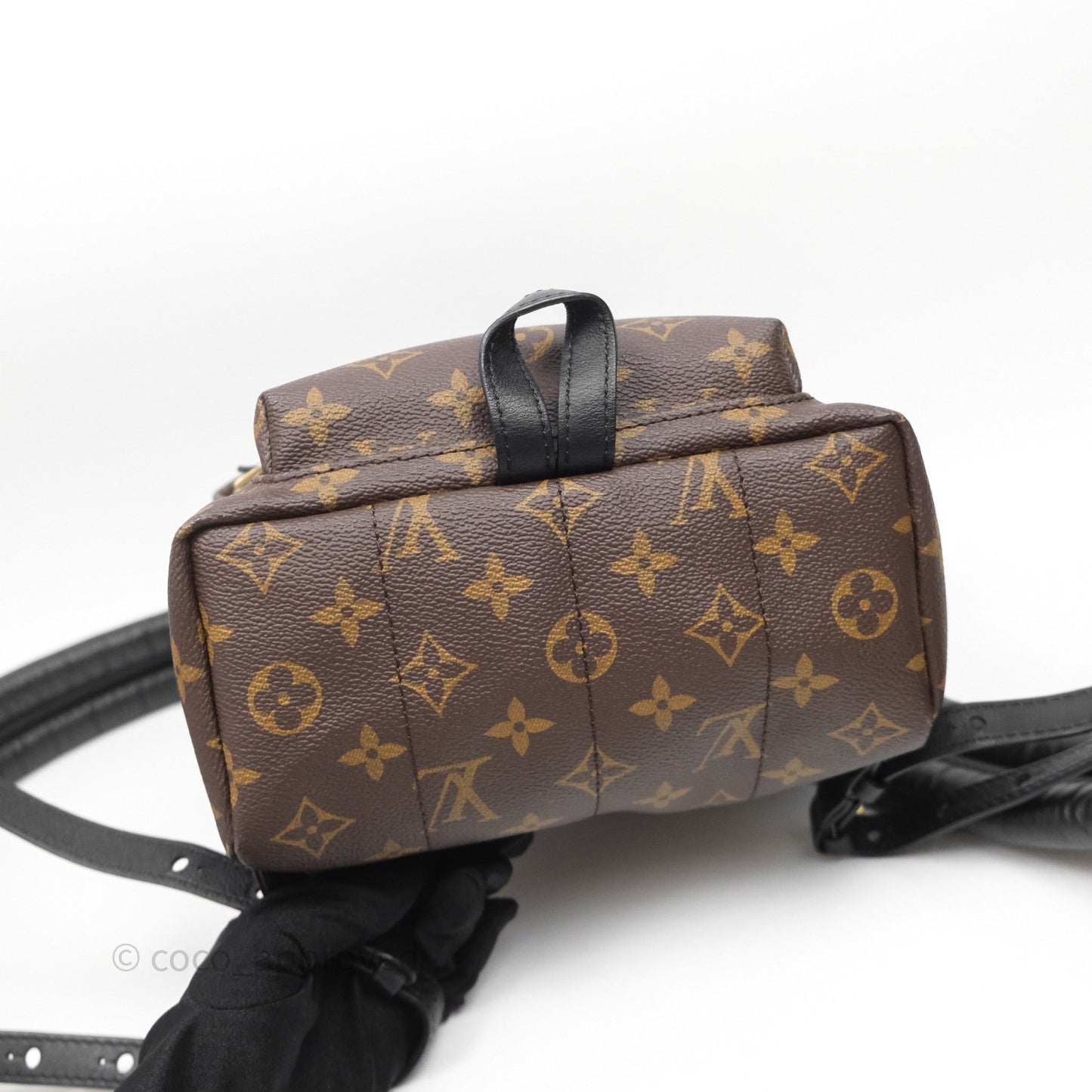 Louis Vuitton Palm Springs Backpack⁣ Monogram PM