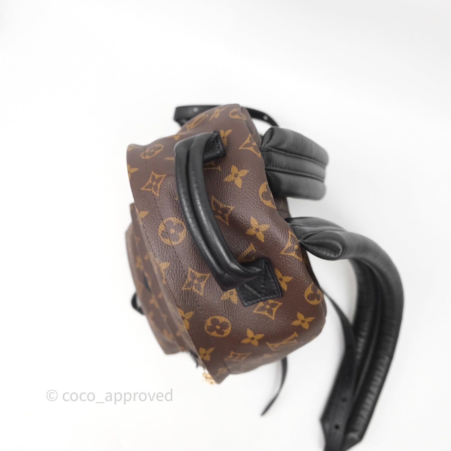 Louis Vuitton Palm Springs Backpack⁣ Monogram PM