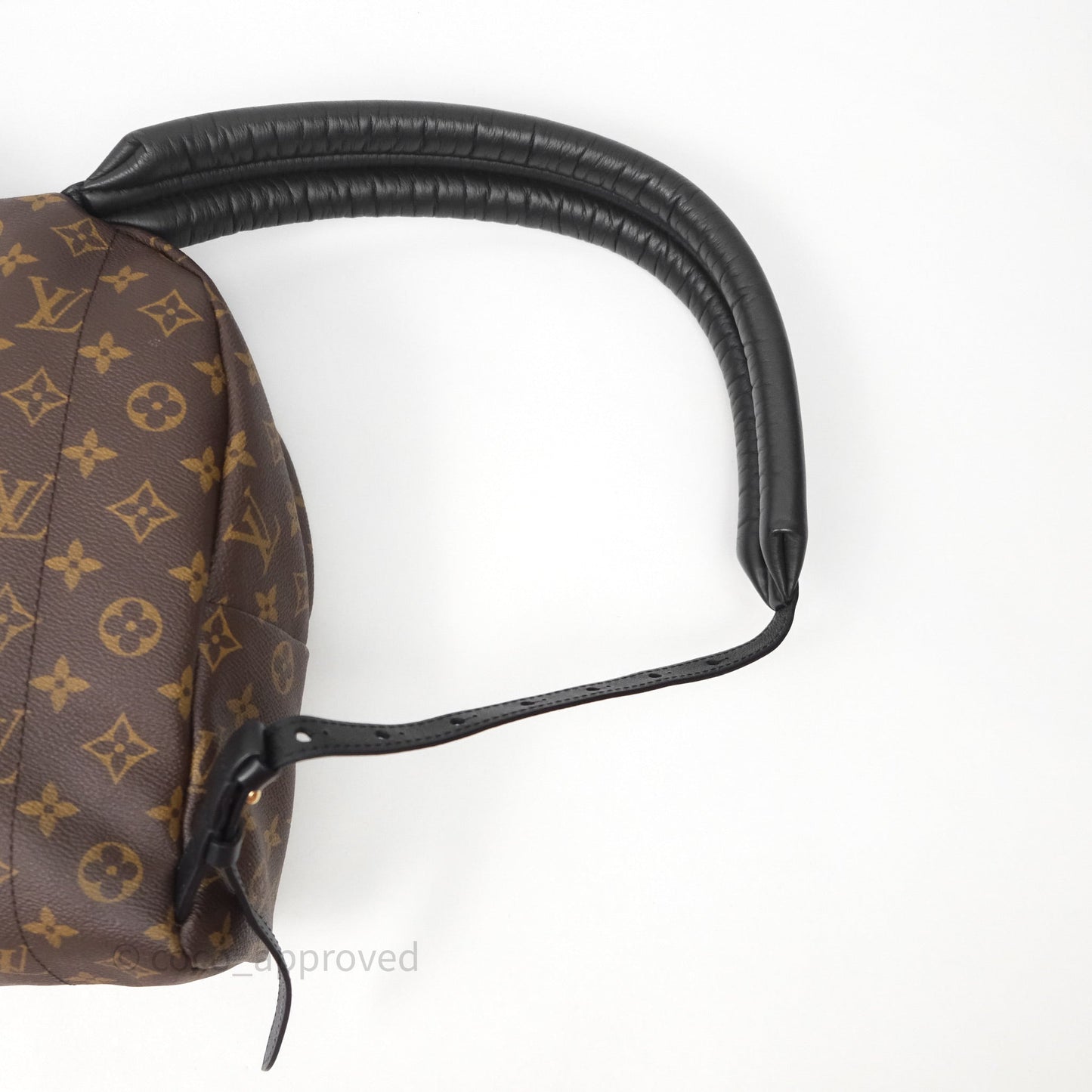 Louis Vuitton Palm Springs Backpack⁣ Monogram PM