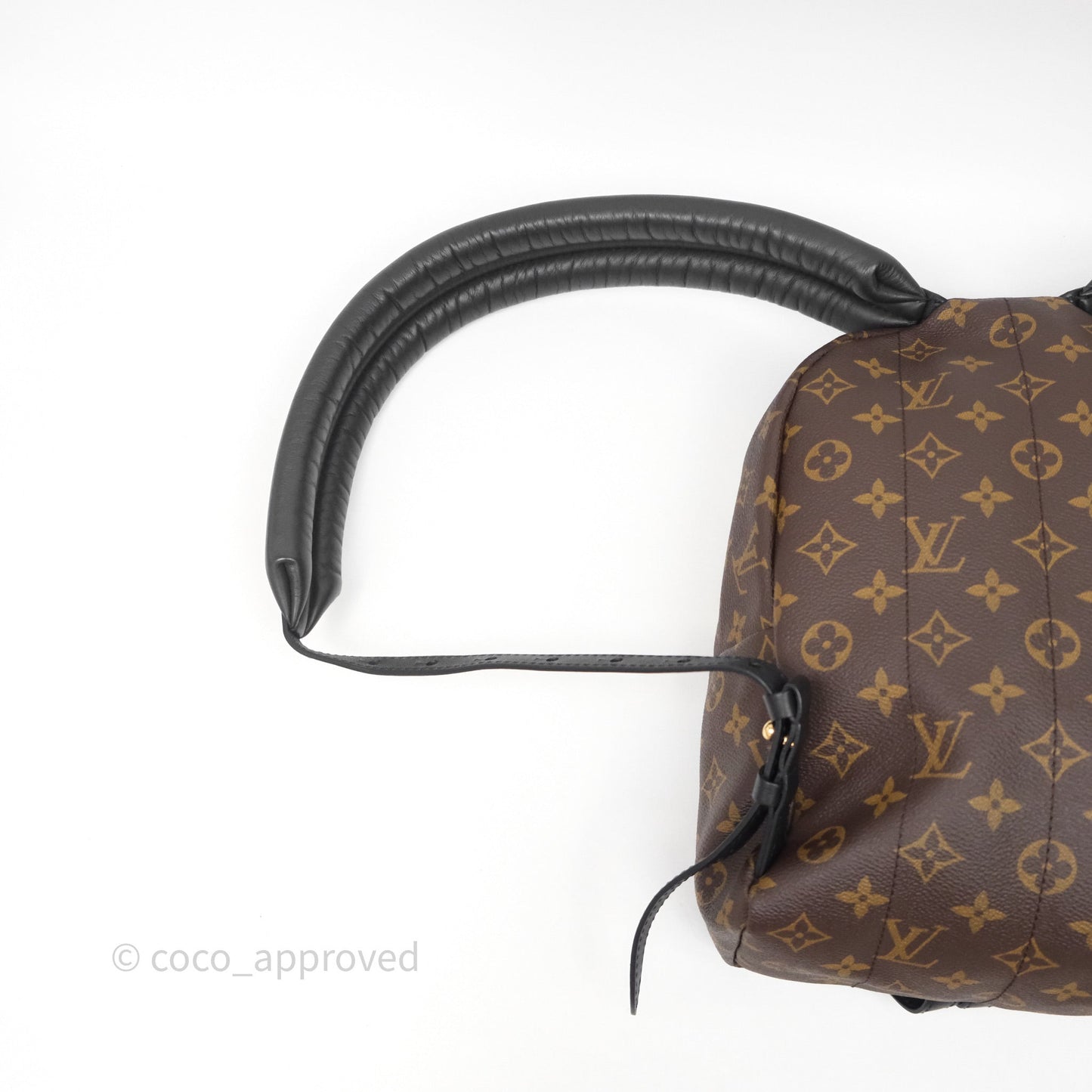 Louis Vuitton Palm Springs Backpack⁣ Monogram PM