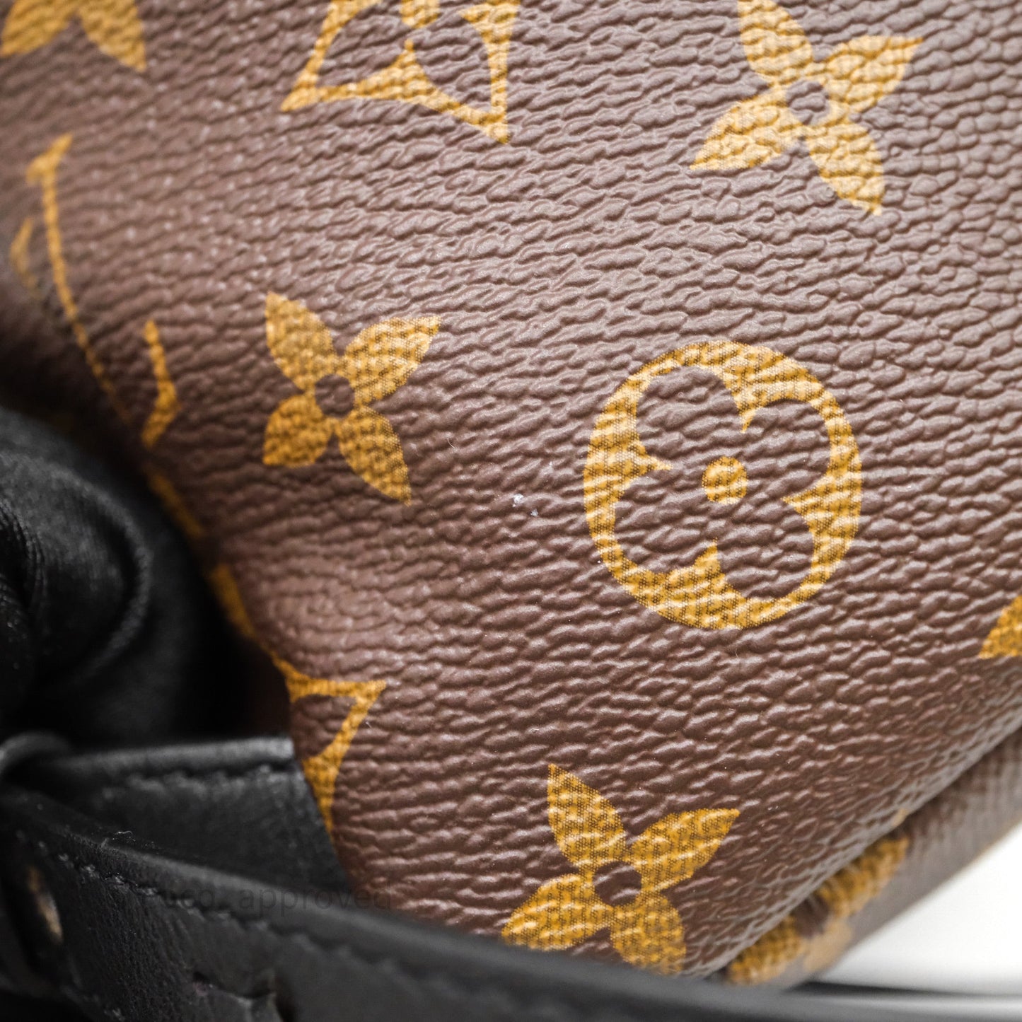 Louis Vuitton Palm Springs Backpack⁣ Monogram PM