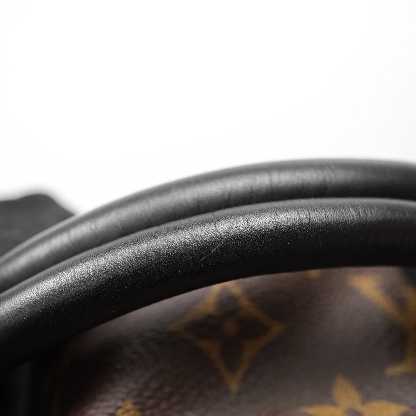 Louis Vuitton Palm Springs Backpack⁣ Monogram PM