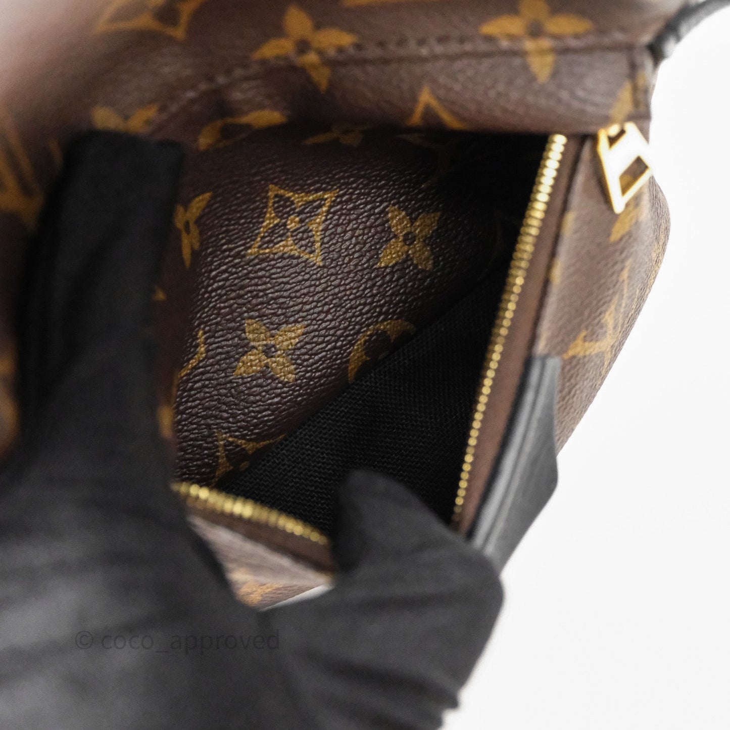 Louis Vuitton Palm Springs Backpack⁣ Monogram PM