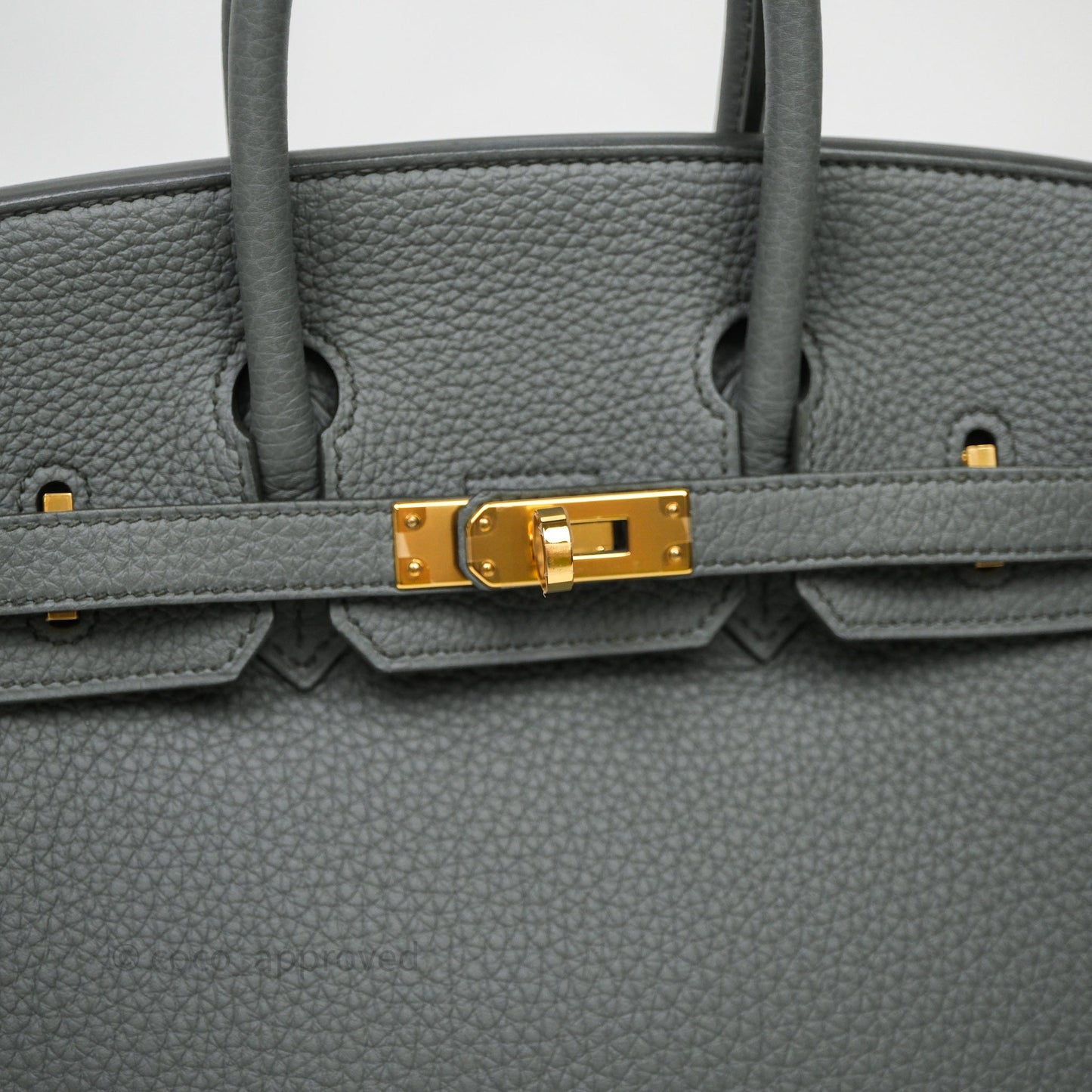 Hermès Birkin 25 Vert Amande 63 Togo Gold Hardware