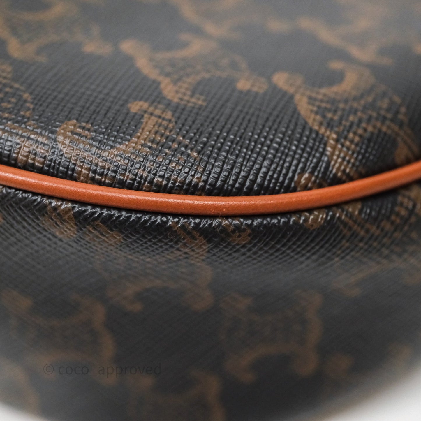 Celine Ava Bag In Triomphe Canvas Calfskin Tan