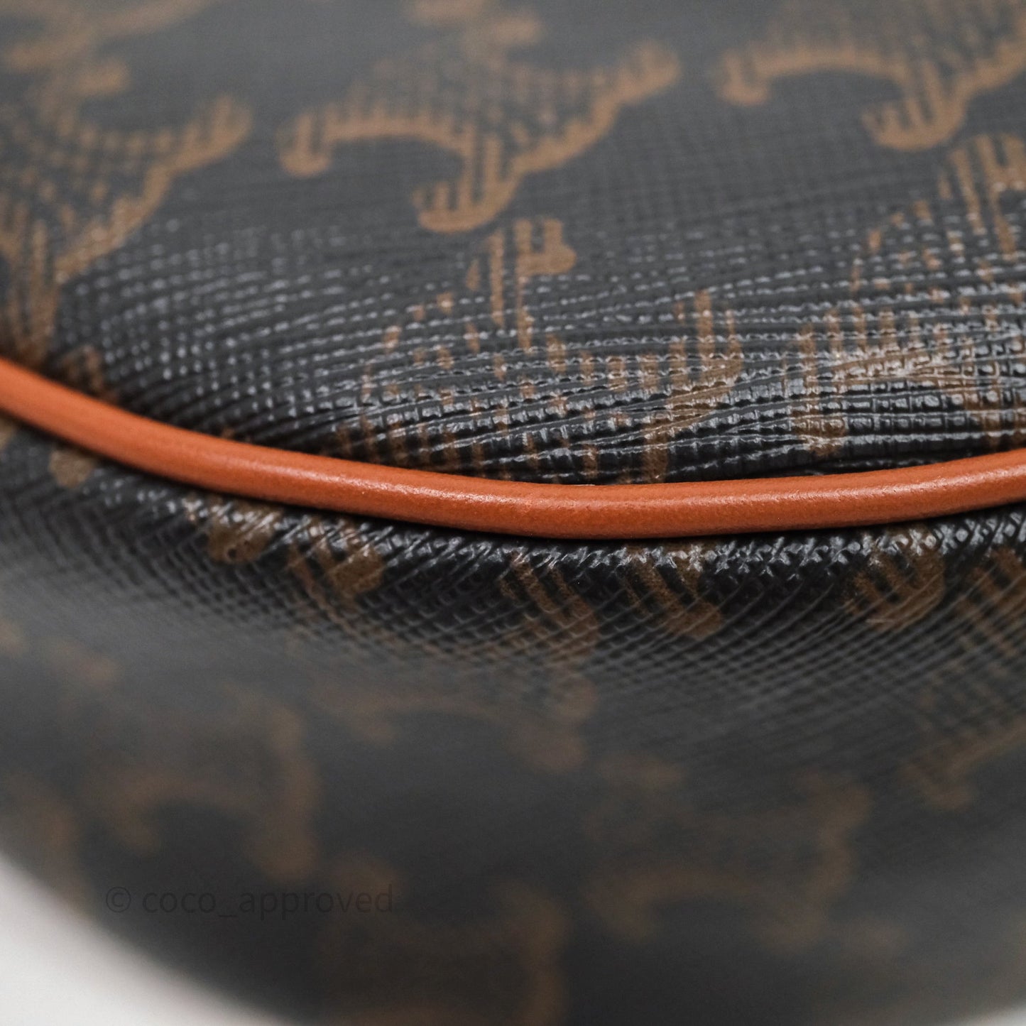 Celine Ava Bag In Triomphe Canvas Calfskin Tan