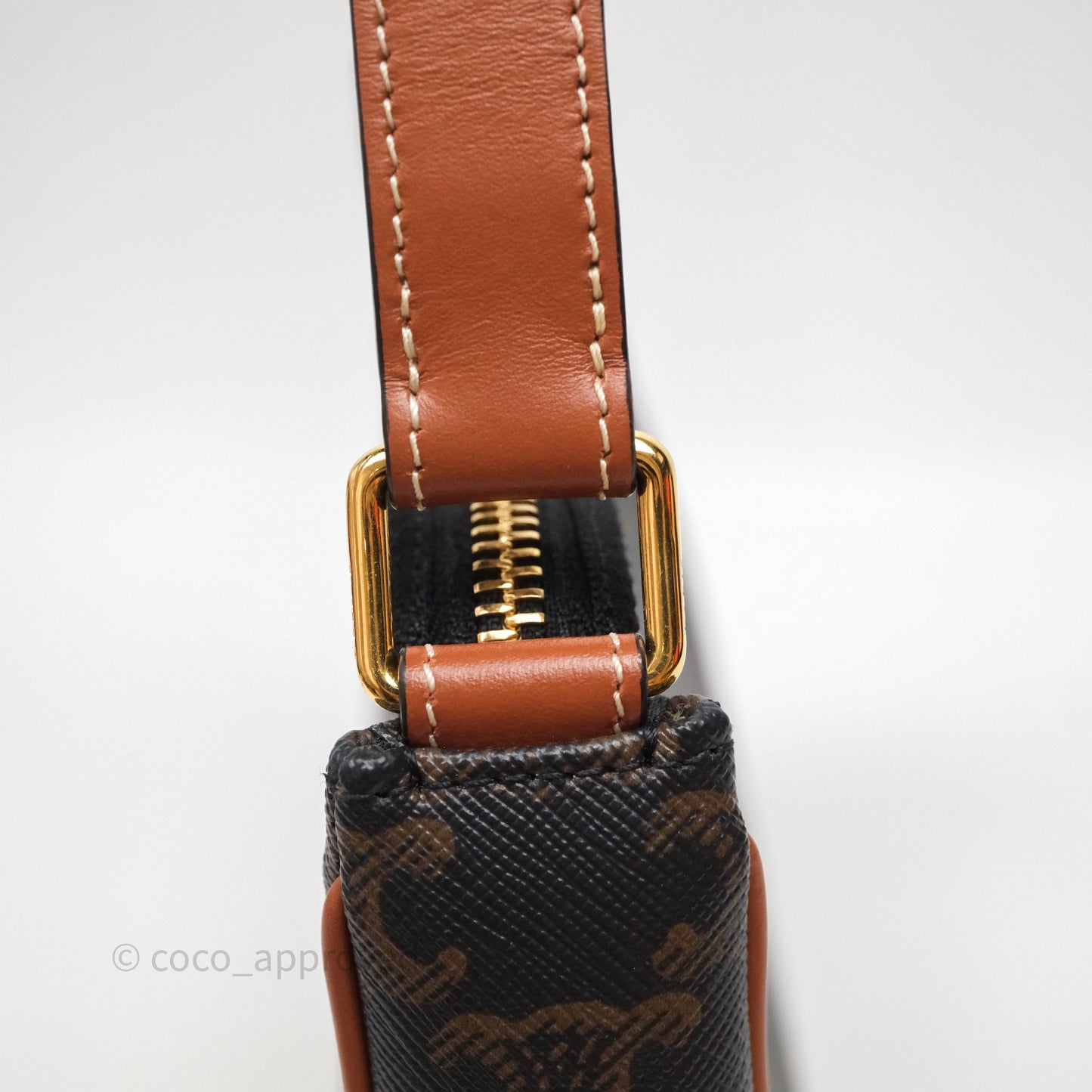 Celine Ava Bag In Triomphe Canvas Calfskin Tan