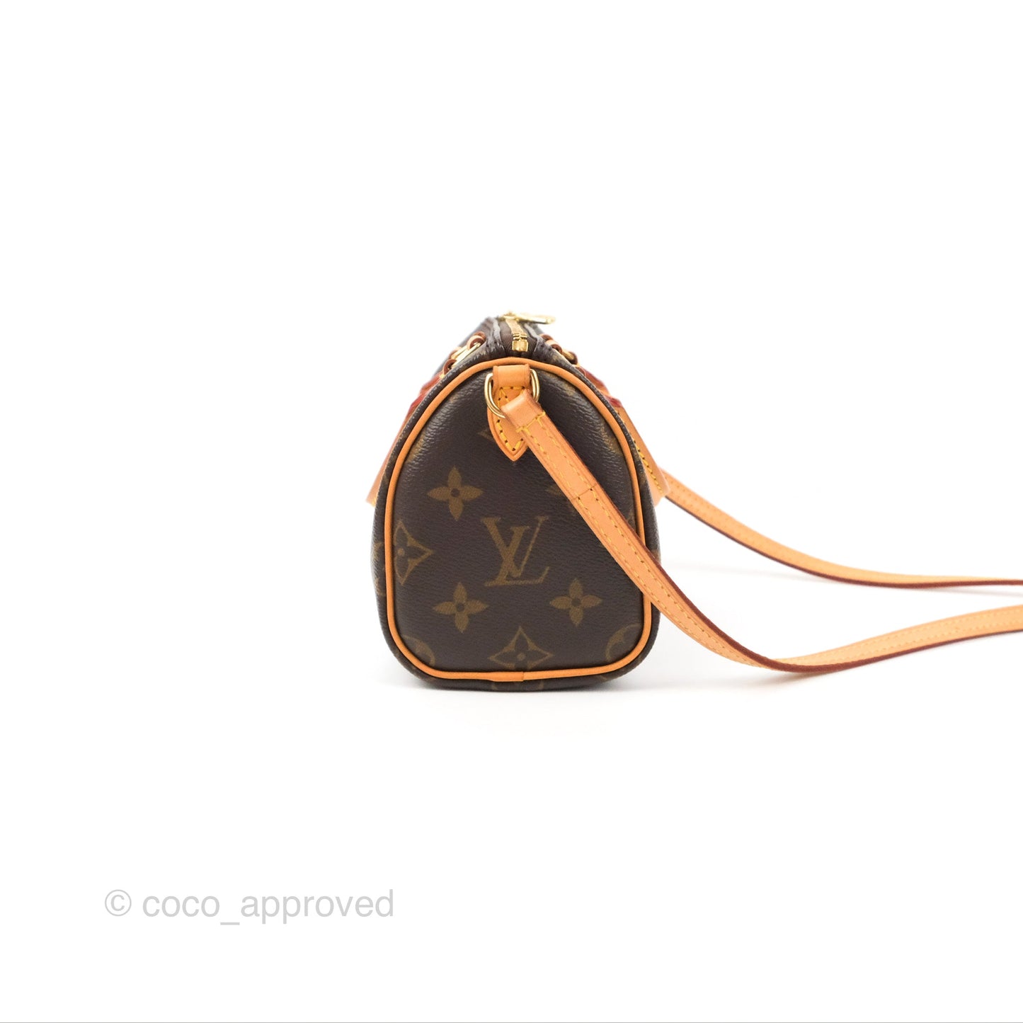 Louis Vuitton Nano Speedy Monogram