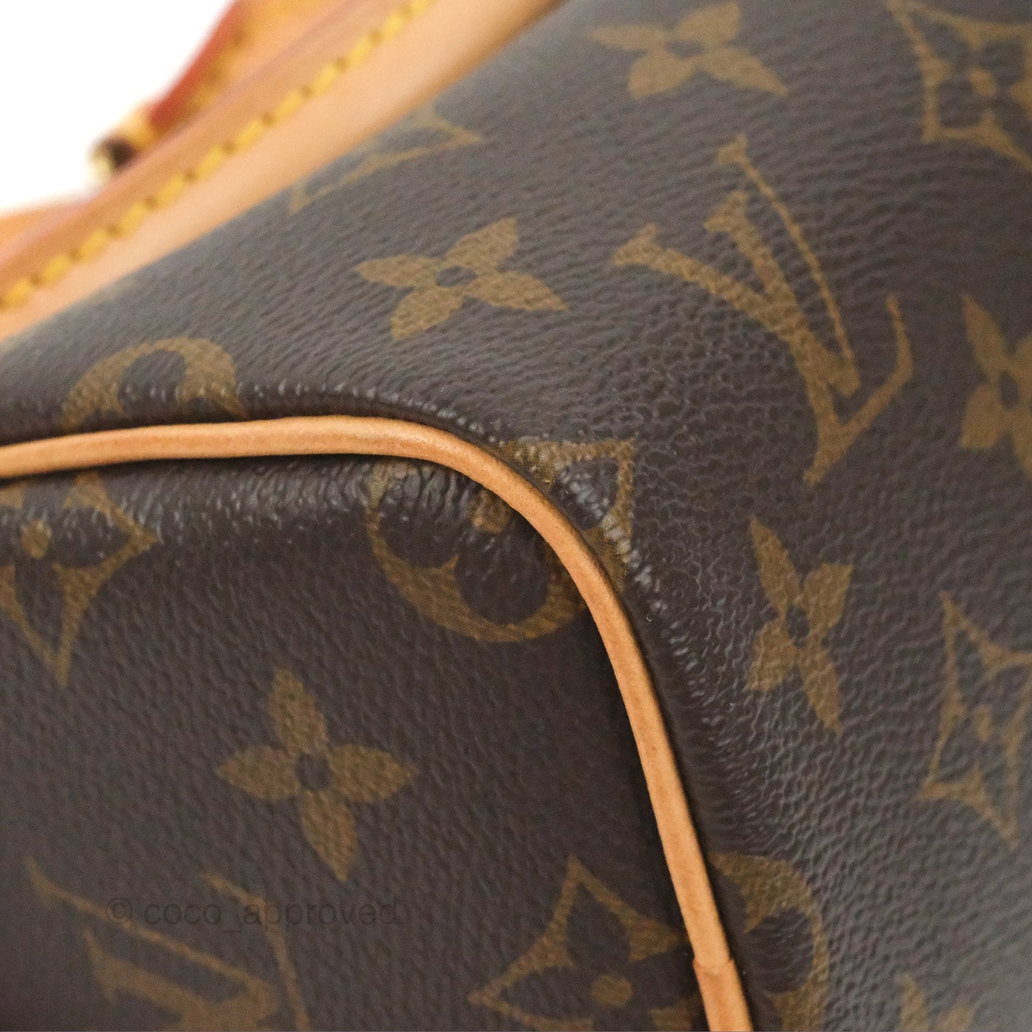 Louis Vuitton Nano Speedy Monogram