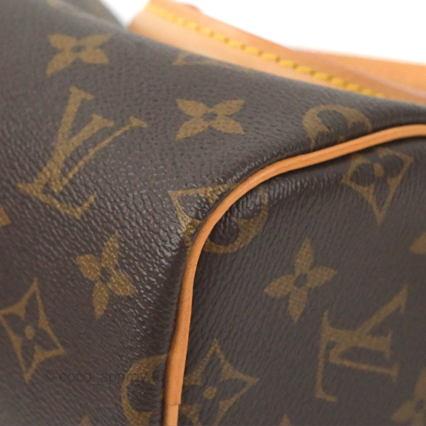 Louis Vuitton Nano Speedy Monogram