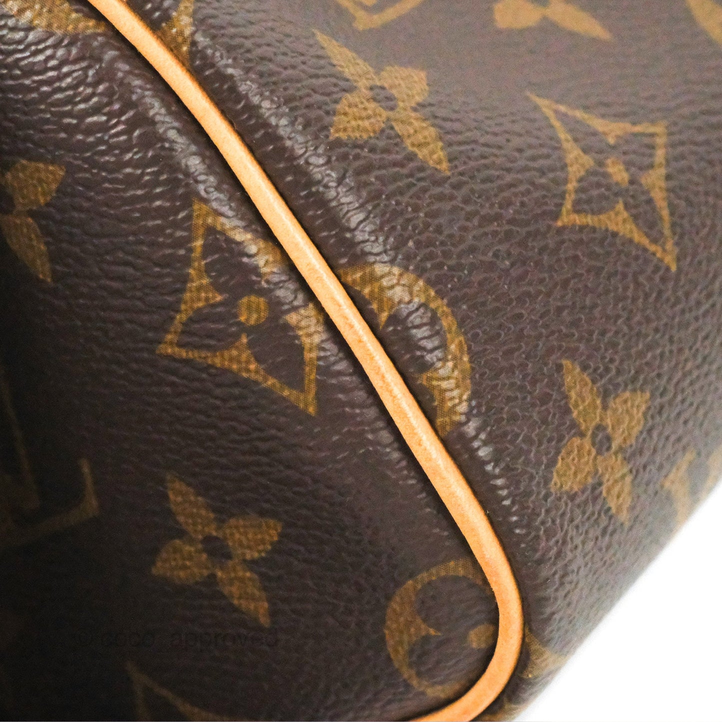 Louis Vuitton Nano Speedy Monogram